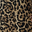 Leopard Mix