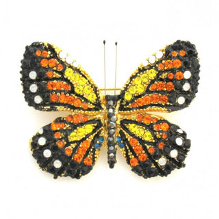 Crystal Waters Multicolour Butterfly Pin