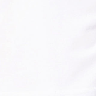 Solid light gray color swatch