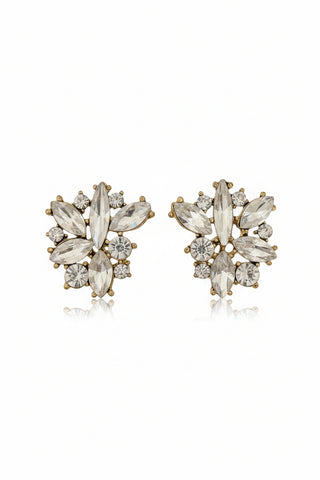 AOTA Cluster Rhinestone Earrings
